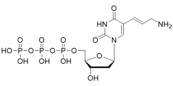 Aminoallyl-dUTP