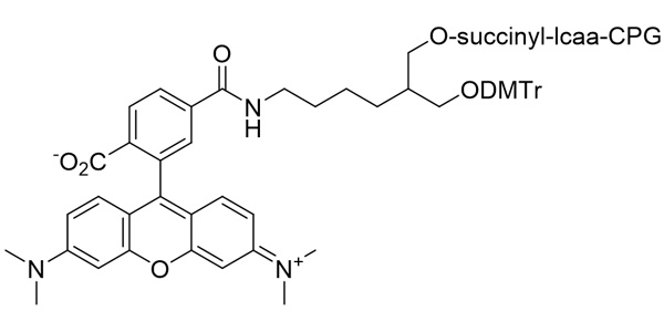 3'-(6-TAMRA) CPG 1000