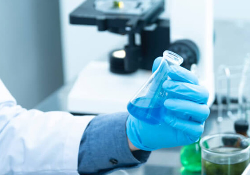分子生物试剂