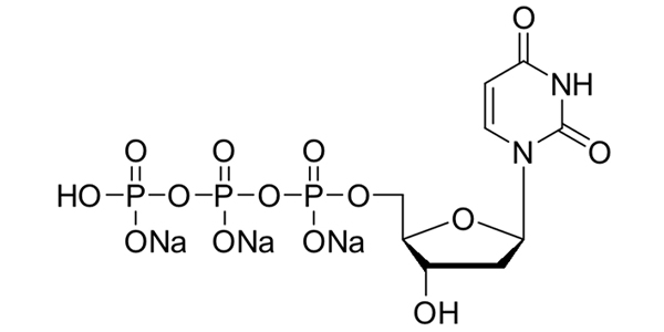 dUTP, 100mM sodium solution