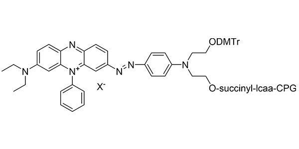 3'-QD-3 frits column (200 nmol) (~BHQ-3)