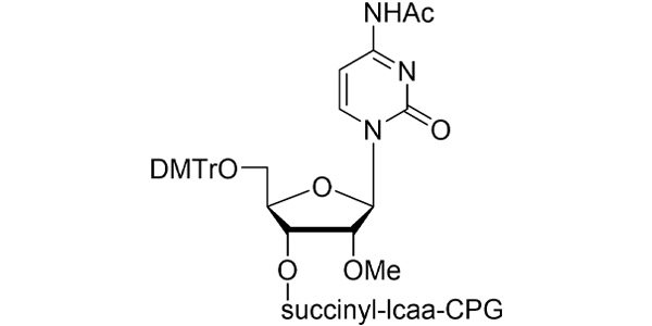 2'-OMe-rC(N-Ac) CPG 1000