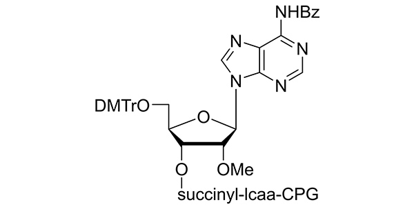 2'-OMe-rA(N-Bz) CPG 1000