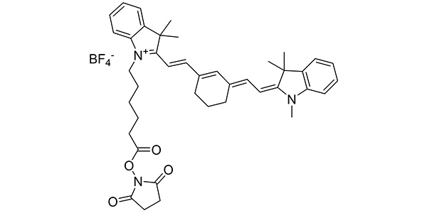 CY7 NHS Ester