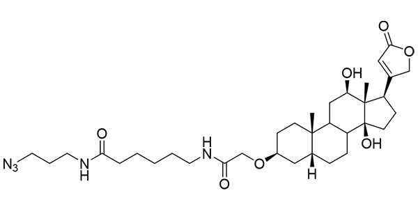 Digoxin Azide