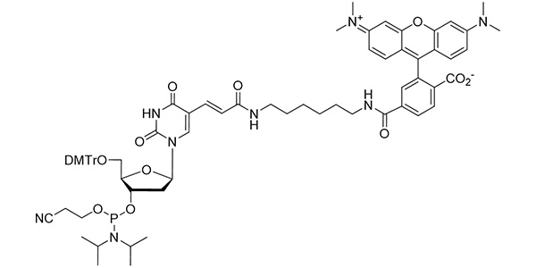 TAMRA-dT Phosphoramidite