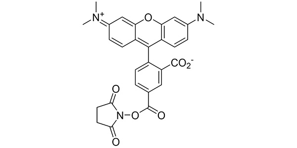 5-TAMRA NHS Ester
