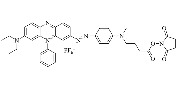 QD-3 NHS Ester (~BHQ-3)