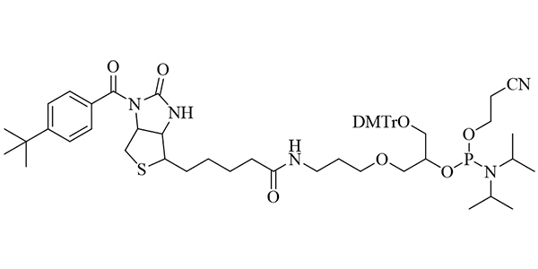 Biotin(N-BB) Phosphoramidite