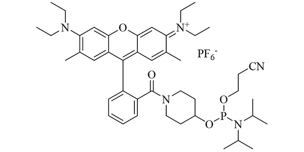 CAL Fluor Red 590 Phosphoramidite
