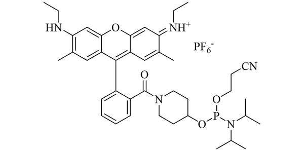 CAL Fluor Orange 560 Phosphoramidite