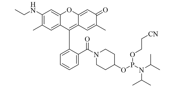 CAL Fluor Gold 540 Phosphoramidite