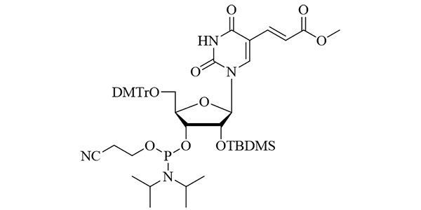 2'-OTBDMS-Carboxy-rU Phosphoramidite