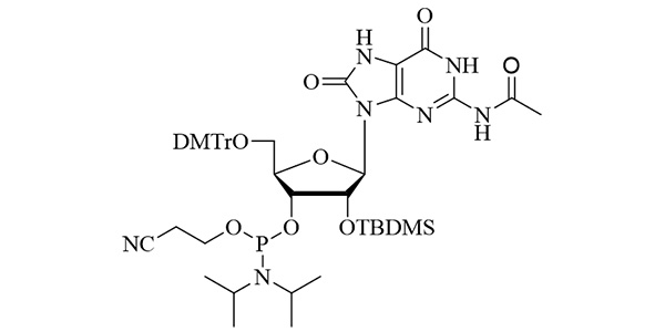 2'-OTBDMS-OXO-rG(N-Ac) Phosphoramidite
